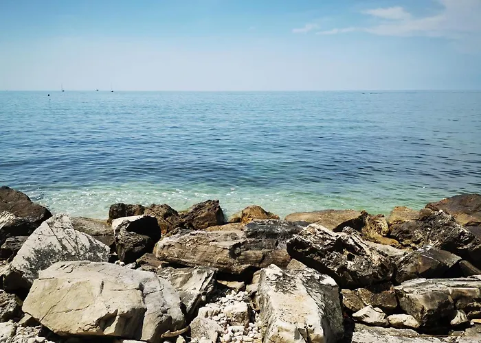 Daire Adriatic Stone House Hunic Umag